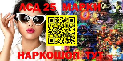 мяу мяу мука Ачхой-Мартан