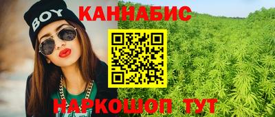 мяу мяу мука Ачхой-Мартан