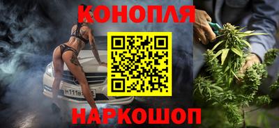 мяу мяу мука Ачхой-Мартан