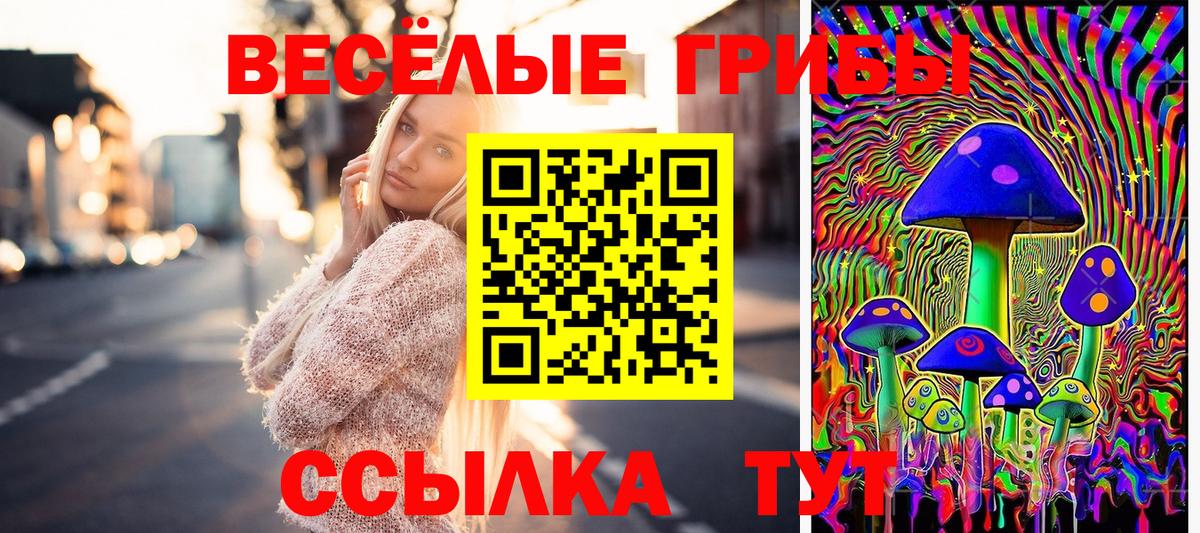 Псилоцибиновые грибы Cubensis  Псилоцибиновые грибы GOLDEN TEACHER  Вход с VPN  Ефремов 