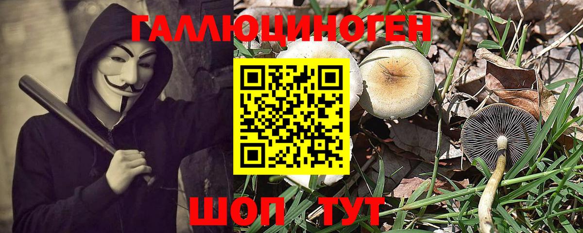 Псилоцибиновые грибы MAGIC MUSHROOMS Ефремов